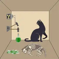 约基奇大比分领先赛后发声的简单介绍