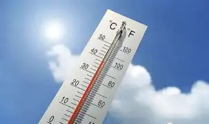 包含热传：樊振东球队14人名单全的词条|
